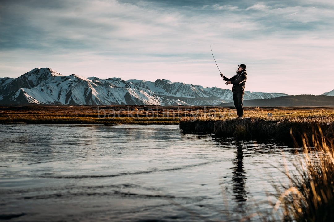 Reel 4